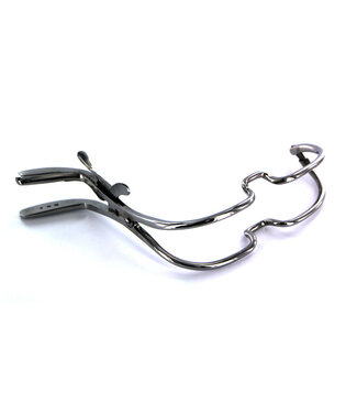 Kiotos Steel Mondknevel RVS 12,5 cm Met Kiotos Toycleaner Voor Hygiënisch Speelgoedgebruik