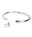 Kiotos Steel Kiotos Steel Ronde Halsband 12,2 cm | Roestvrij Staal Niet Verstelbaar