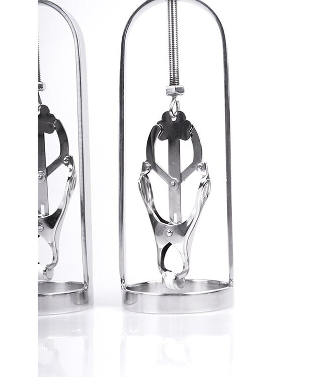 Kiotos Steel RVS Verstelbare Tepelklemmen Met Klaverklemmen Set Voor BDSM Gebruik