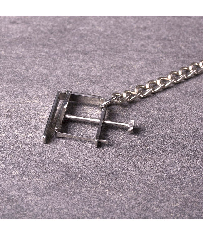 Kiotos Steel Verstelbare RVS Tepelklemmen Met 40 cm Ketting Voor Tepelstimulatie