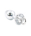 Kiotos Steel Aluminium Anaal Plug Met Kristal En PU Leren Kettingriem Set