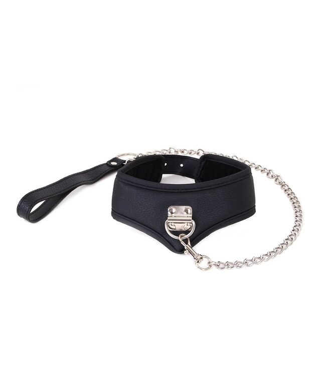PU Lederen Verstelbare Halsband 39-49 cm Met 65 cm Riem Voor Wandelingen