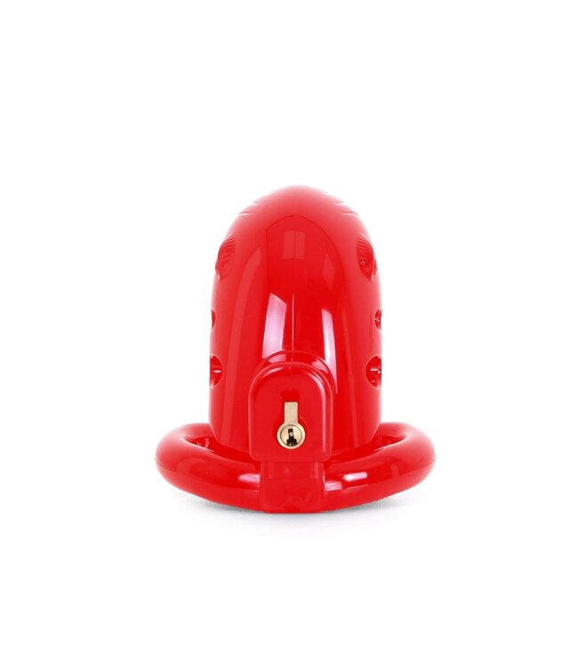Plastic Chastity Cage Met Drie Ringen En Metalen Slot - 7,5 Cm