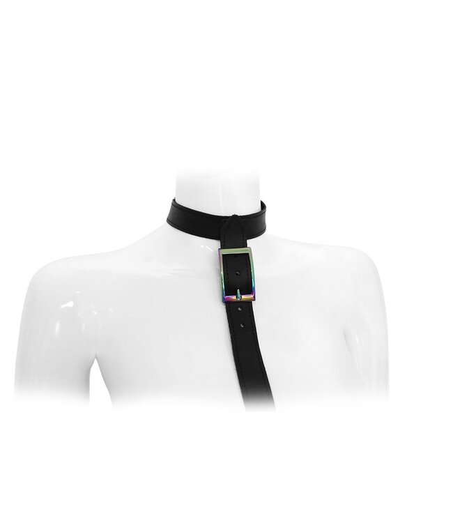 Adjustable Leather Collar & Rainbow Steel Leash for Stylish Walks