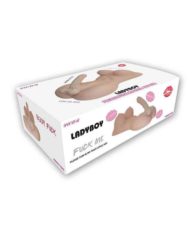 She-Male Body Masturbator Met Realistische Dildo, Anus En Tieten