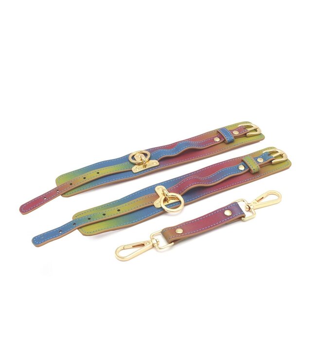 Veganistische Regenboog PU-Leer Verstelbare Enkelboeien 19-26 cm