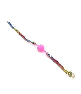 Rainbow Vegan PU Leather Ball Gag - Durable & Adjustable BDSM Toy