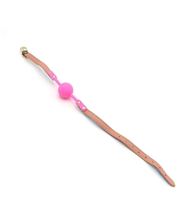 Veganistisch PU-Leder Regenboog Ball Gag Met Verstelbare Omtrek 41-58 cm