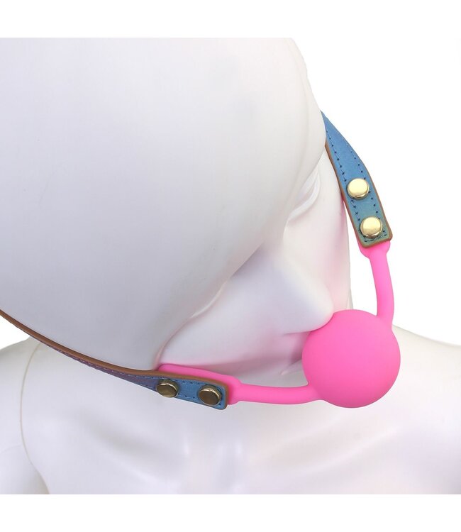 Veganistisch PU-Leder Regenboog Ball Gag Met Verstelbare Omtrek 41-58 cm