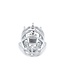 Kiotos Steel Curved Stainless Steel BDSM Chastity Cage with Adjustable Spikes