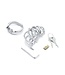 Kiotos Steel Roestvrijstalen Curve BDSM Kuisheidskooi Met Verstelbare Spikes 33mm