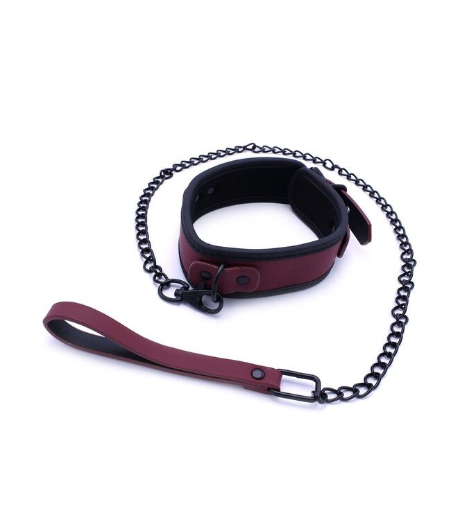 Luxuriöses bordeauxrotes 10-teiliges Bondage-Set mit Tragetasche