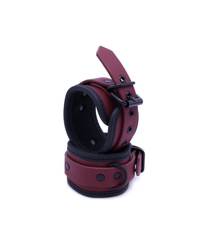 Luxurious Burgundy 10-Piece Bondage Set in Convenient Carry Case