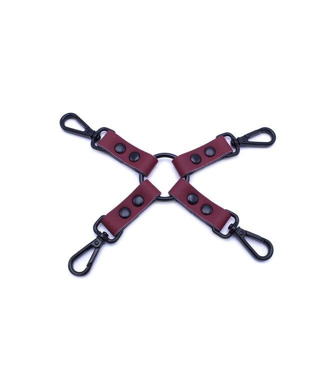 Luxurious Burgundy 10-Piece Bondage Set in Convenient Carry Case