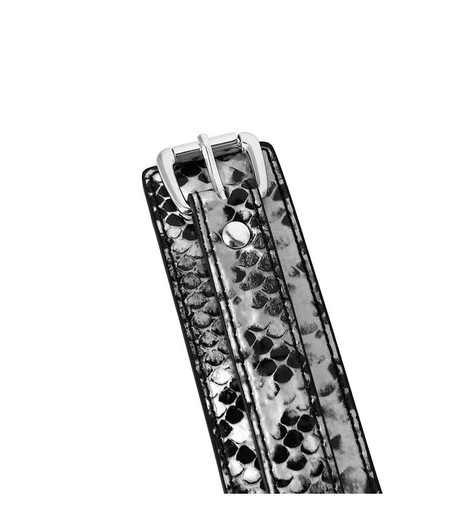 Vegan PVC Black Silver Reptile Print Collar & Leash Set for BDSM