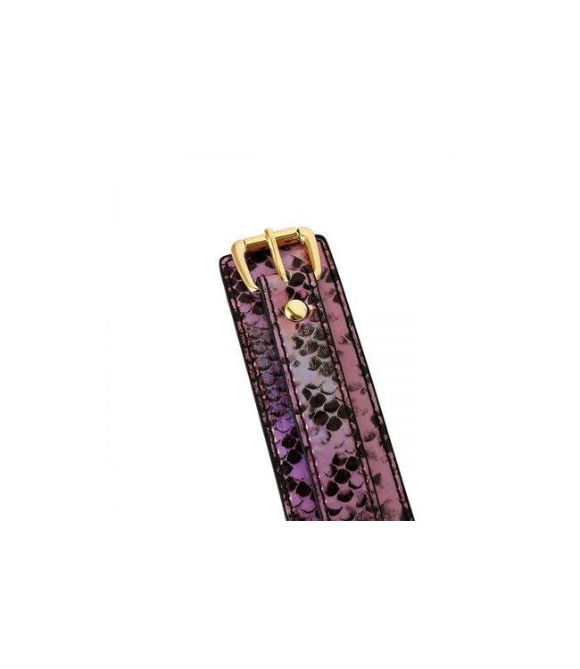 Gold Pink Reptile Print Vegan PVC Collar & Leash Set for BDSM