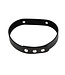 Verstelbare PVC Halsband Met Duurzaam SLAVE Naamplaatje