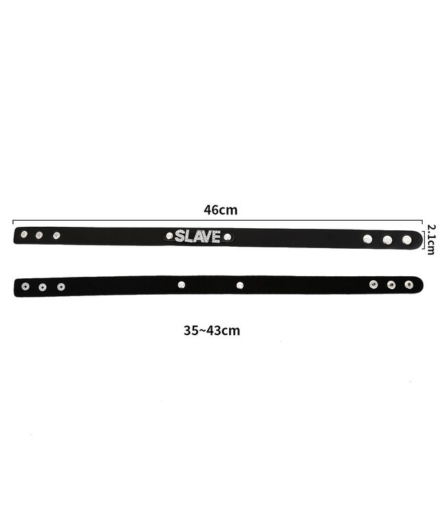 Durable Adjustable PVC Collar with Striking "SLAVE" Name Tag