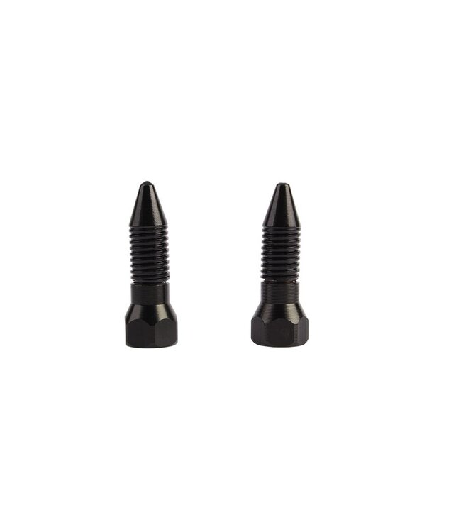 Chisa Sins Inquisition Stainless Steel Screw-Shaped Magnetic Nipple Clamps