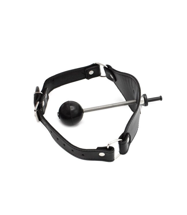 Stainless Steel Adjustable Screw Ball Gag | Comfortabele Leerband 41mm