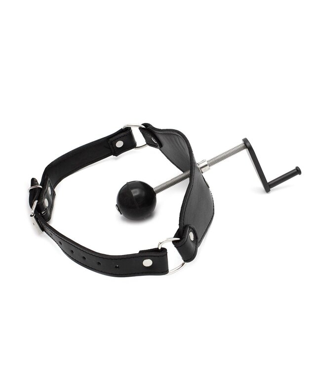 Adjustable Stainless Steel & Leather Ball Gag for Ultimate BDSM Comfort