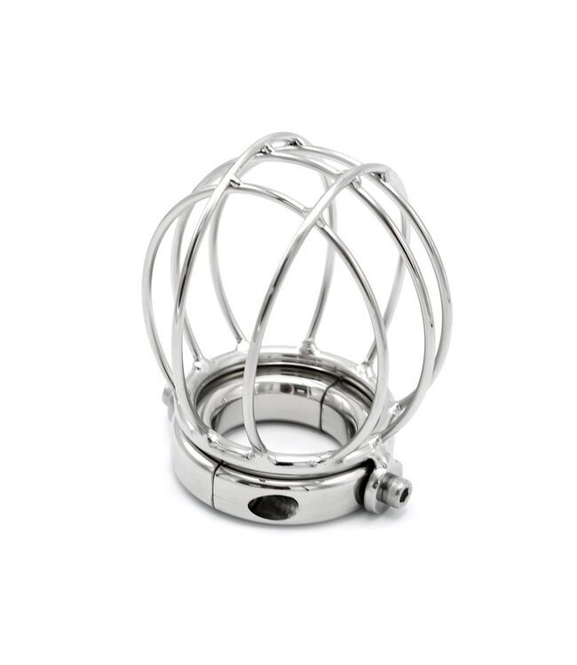 Hypoallergener Edelstahl-Ballstretcher – Sicher & Langlebig für BDSM-Vergnügen