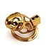 Sevanda SEVANDA Goldener Urethral-Keuschheitskäfig – Luxuriöses BDSM-Accessoire