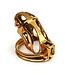 Sevanda SEVANDA Goldener Urethral-Keuschheitskäfig – Luxuriöses BDSM-Accessoire