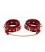 BDSM Deluxe Red 5-Piece Vegan Leather Kit with Bag