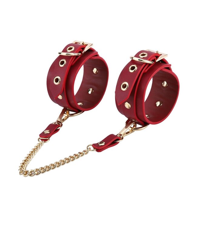 BDSM Deluxe Red 5-Piece Vegan Leather Kit with Bag