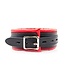 Kiotos BDSM Ober Kit Met Rood Houten Dienblad, Handboeien En Halsband