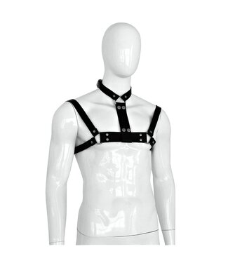 Männliches Lederhalsband und Brustgurt – Stilvoll und Ausdrucksstark