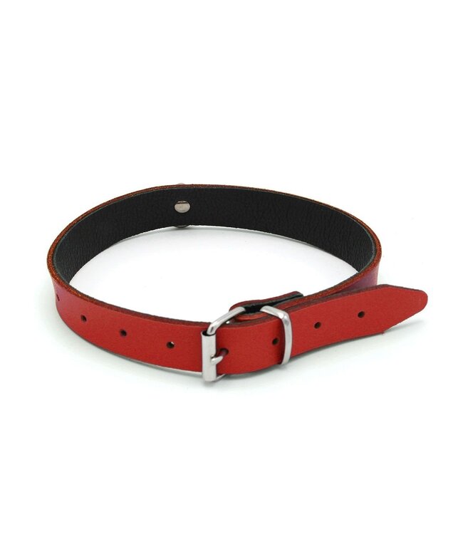 Red Leather Mini O-Ring Collar | Stylish, Durable BDSM Accessory
