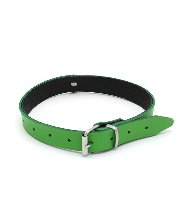 Echt Leren BDSM Mini Collar Met O-Ring Groen 49 cm Breedte 2 cm