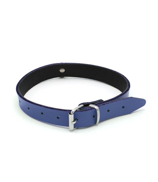 Leren BDSM Halsband Met Blauwe Mini O-Ring 38-51 cm Comfortabele Pasvorm