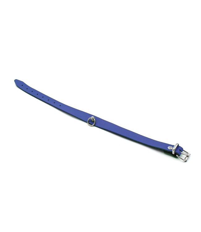 Leren BDSM Halsband Met Blauwe Mini O-Ring 38-51 cm Comfortabele Pasvorm