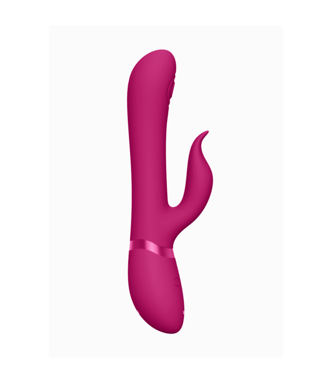 Vive Etsu Luxury Vibrator: 3 Motors, 100 Settings, 4 Sleeves, Waterproof