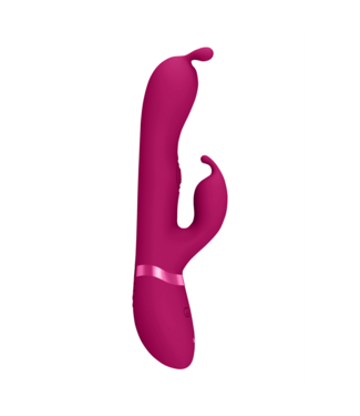 Vive Vive Gada Pink Bunny: 10-Speed G-Spot & Clitoral Vibrator