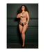 Le Désir Léna Seductive Lace Briefs in Black with Elegant Gold Accents