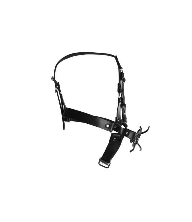 Ouch! Xtreme Intense Head Harness with Spider Gag & Nose Hooks for Safe Bondage Fun