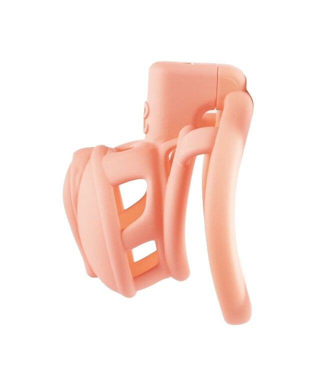 Sevanda Sevanda Pink Pride Long Chastity Cage - Durable, Comfortable & Stylish