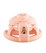Sevanda Sevanda Pink Pride Long Chastity Cage - Durable, Comfortable & Stylish