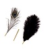 Sevanda Sevanda Luxurious Peacock Feather Tickler for Sensual Play