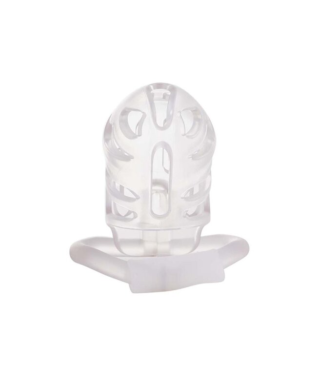 Sevanda Transparante Plastic Penis Kuisheidskooi Met Verstelbare Ringen En Messing Slot