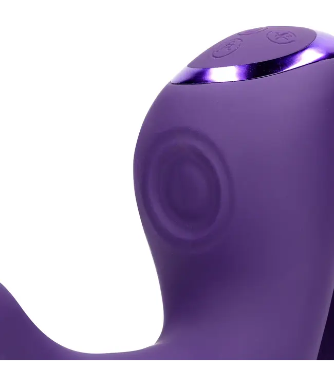 Vive Riko Triple Motor Vibrator Met 1000+ Instellingen En Climax Knop Paars
