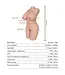 Tantaly Donna 13kg Realistic TPE Sex Doll - Perfect for Beginners & Discreet Play