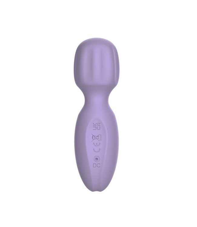 Pixey Compact USB-Oplaadbare Lilla Pixey Wand Vibrator Met Siliconen Behuizing