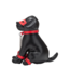Prowler Red Captain Chains BDSM-Set – Abenteuerliches Ketten- und Rollenspielzeug
