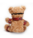 Crushious Crushito Red Bondage Teddy Bear - Cute & Naughty Gift Idea 31cm