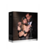 Ouch! Couples' Beginner Bondage Kit for Kinky Intimacy and Fun